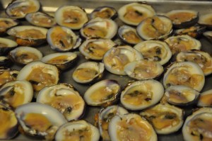 Shucked Clams