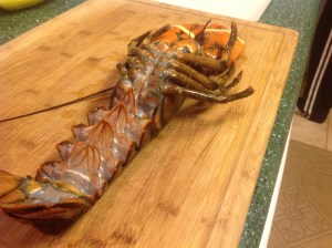 Place lobster on his back